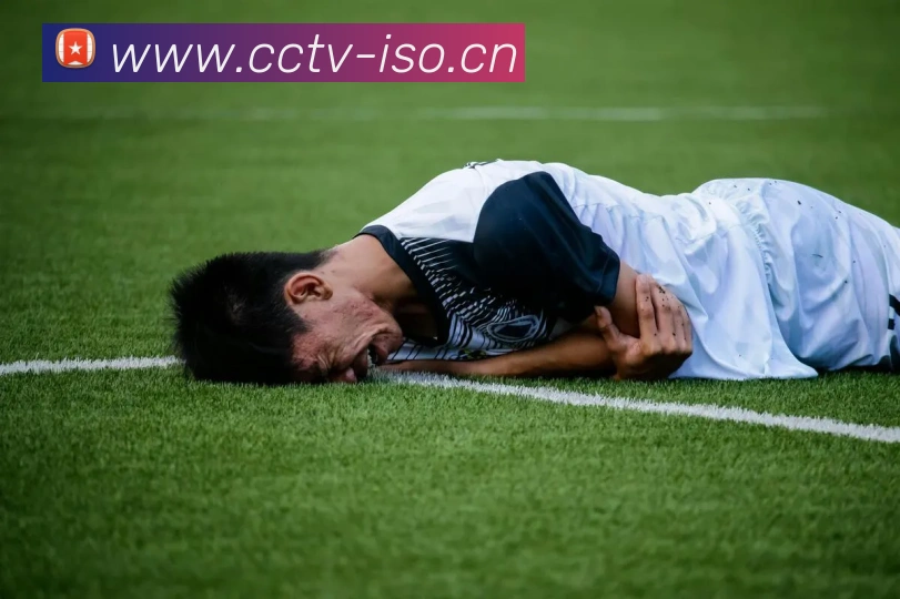 kaiyun官方网站平台生态图