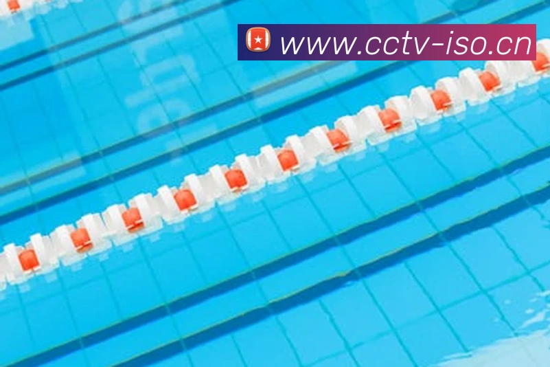 kaiyun官方网站APP 封面图